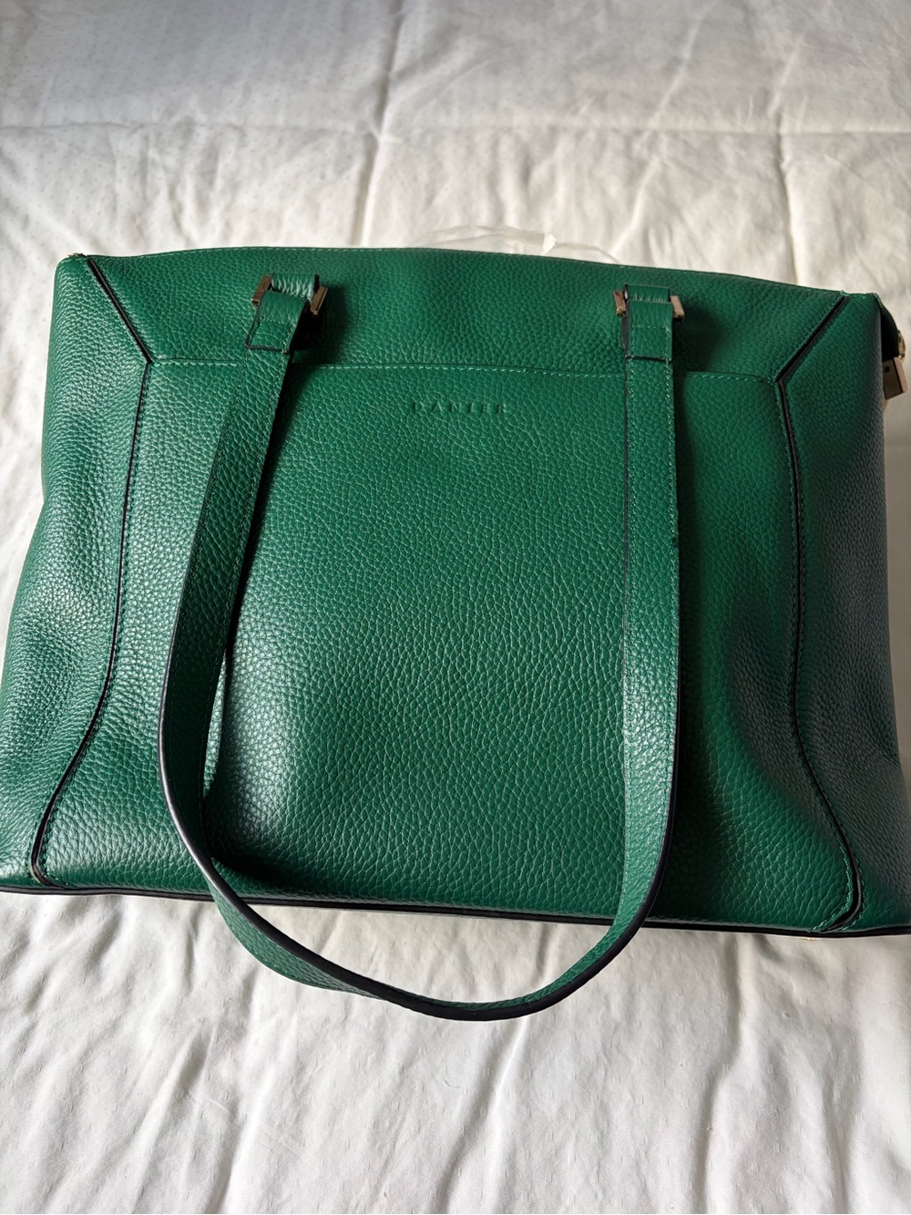 DANIER Structured Green Pebbled Leather Tote